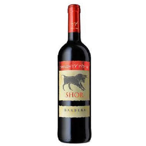 Shiloh Barbera Shor 2019