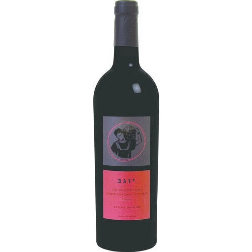 Binyamina Cabernet Sauvignon Petit Verdot Yogev 2020