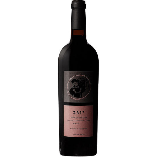 Binyamina Cabernet Sauvignon Shiraz Yogev 2020