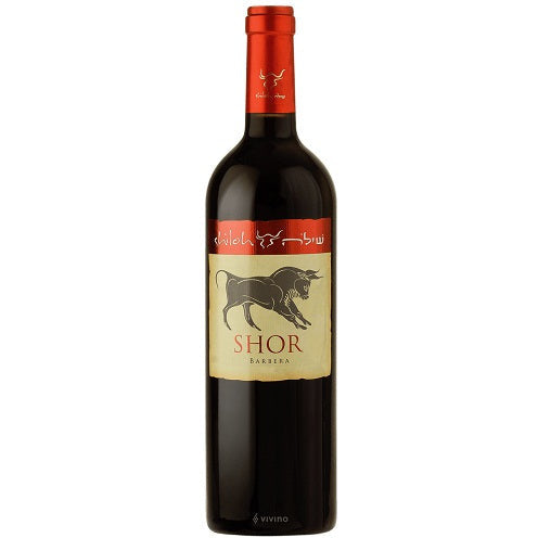 Shiloh Barbera Shor 2007