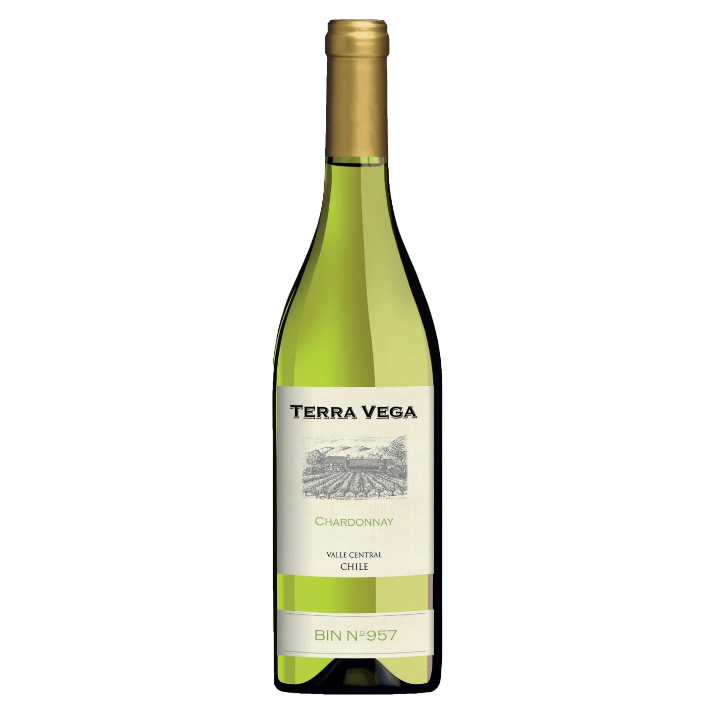 Terra Vega Chardonnay 2020