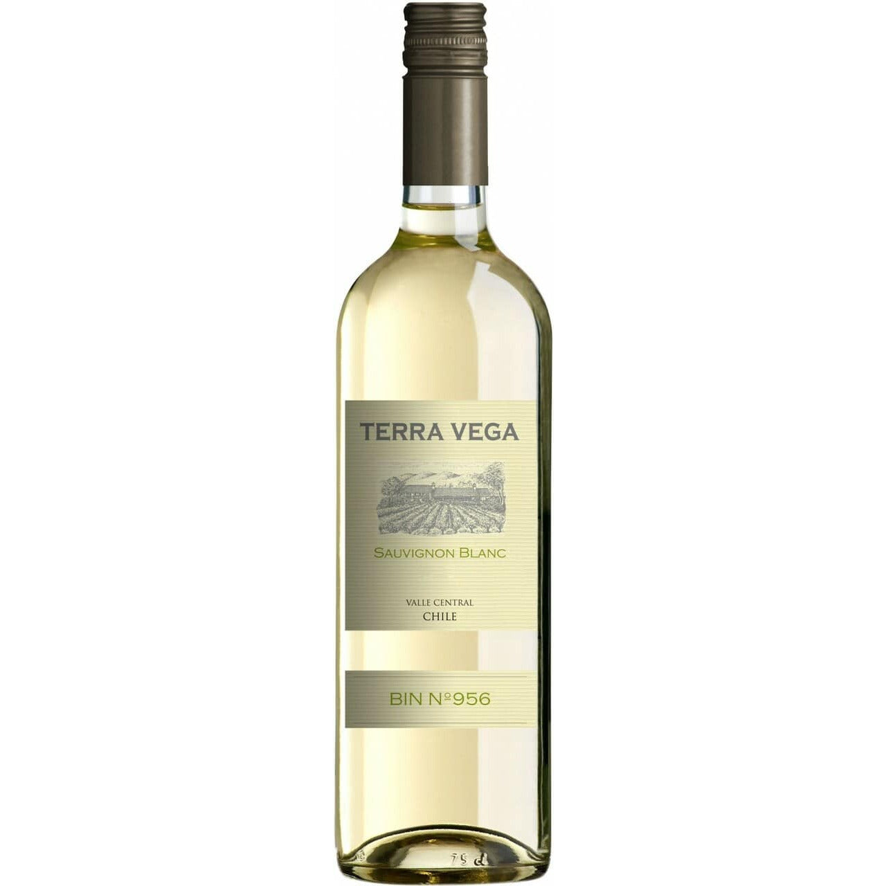 Terra Vega Sauvignon Blanc 2021