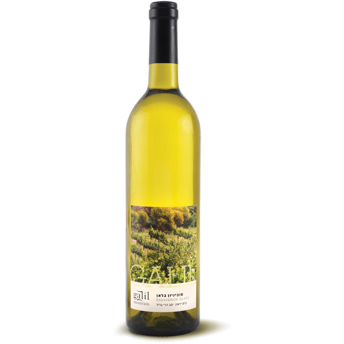 Sauvignon Blanc, Galil Mountain Winery 2020