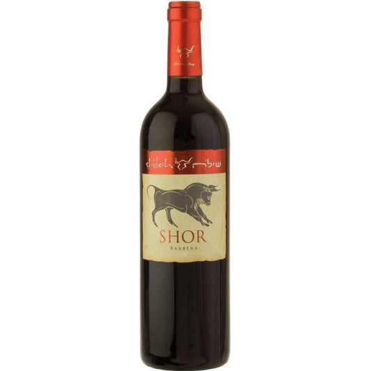 Shiloh Barbera Shor 2018