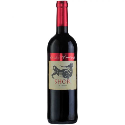 Shiloh Merlot Shor 2018