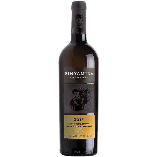 Binyamina Sauvignon Blanc Chardonnay Yogev 2018